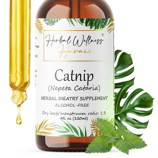 Catnip Tincture Alcohol-Free – Herbal Extract Drops for Relaxation & Gentle Calm Support
