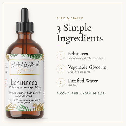 Echinacea Angustifolia liquid drops, 3 simple ingredients: herb, vegetable glycerin, purified water