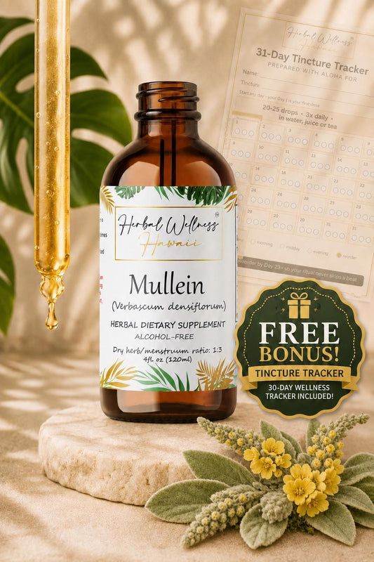 Mullein Tincture Alcohol-Free, Organic Verbascum Densiflorum Flower Liquid Drops, Herbal Extract