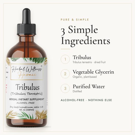 Tribulus liquid drops, 3 simple ingredients: herb, vegetable glycerin, purified water
