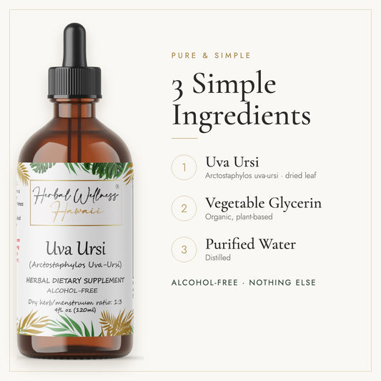 Uva Ursi liquid drops, 3 simple ingredients: herb, vegetable glycerin, purified water