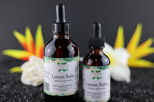 Lemon Balm (Melissa officinalis) Alcohol-Free Herbal Tincture