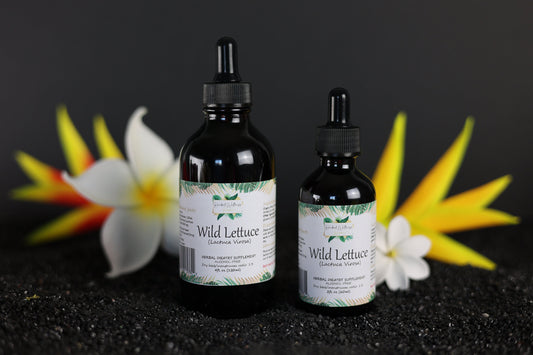 Wild Lettuce Liquid Extract (Lactuca Virosa) Dried Herb Alcohol-FREE