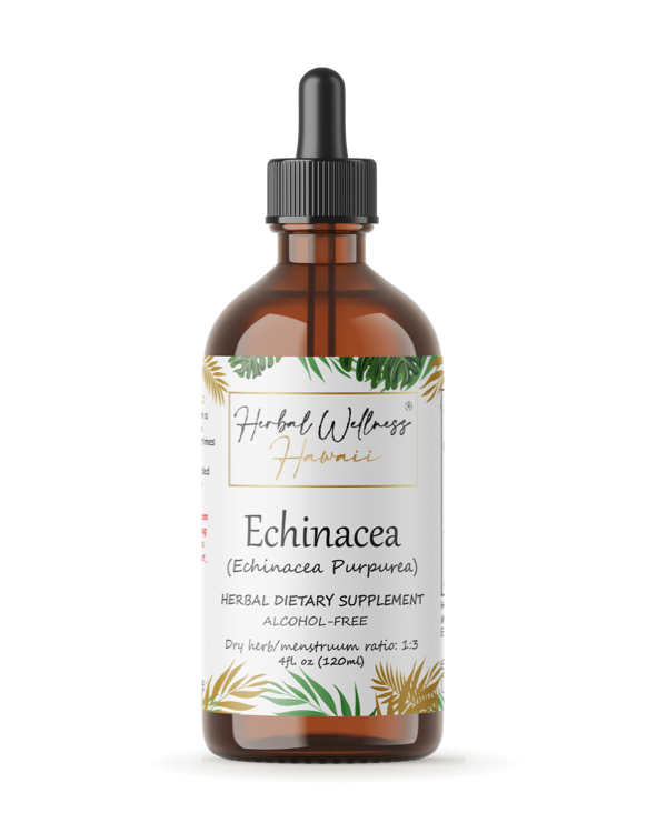 Echinacea Purpurea alcohol-free herbal drops