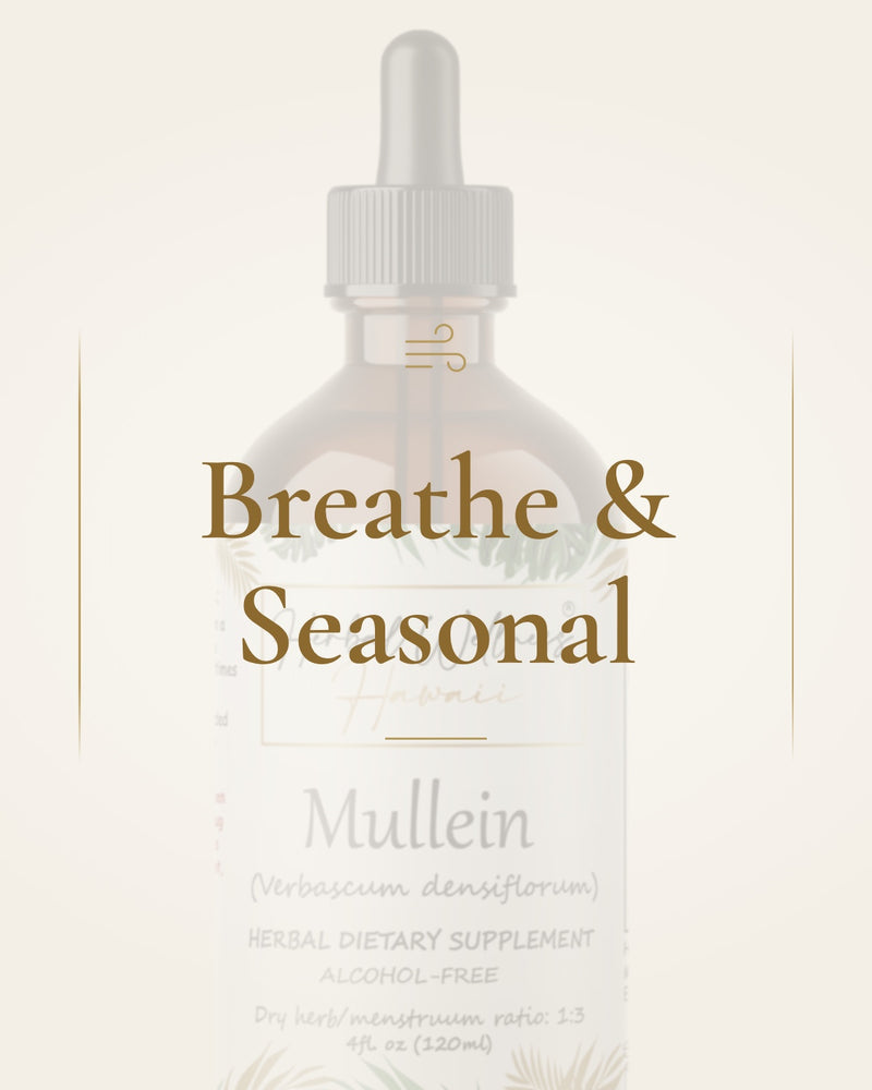 Breathe & Seasonal