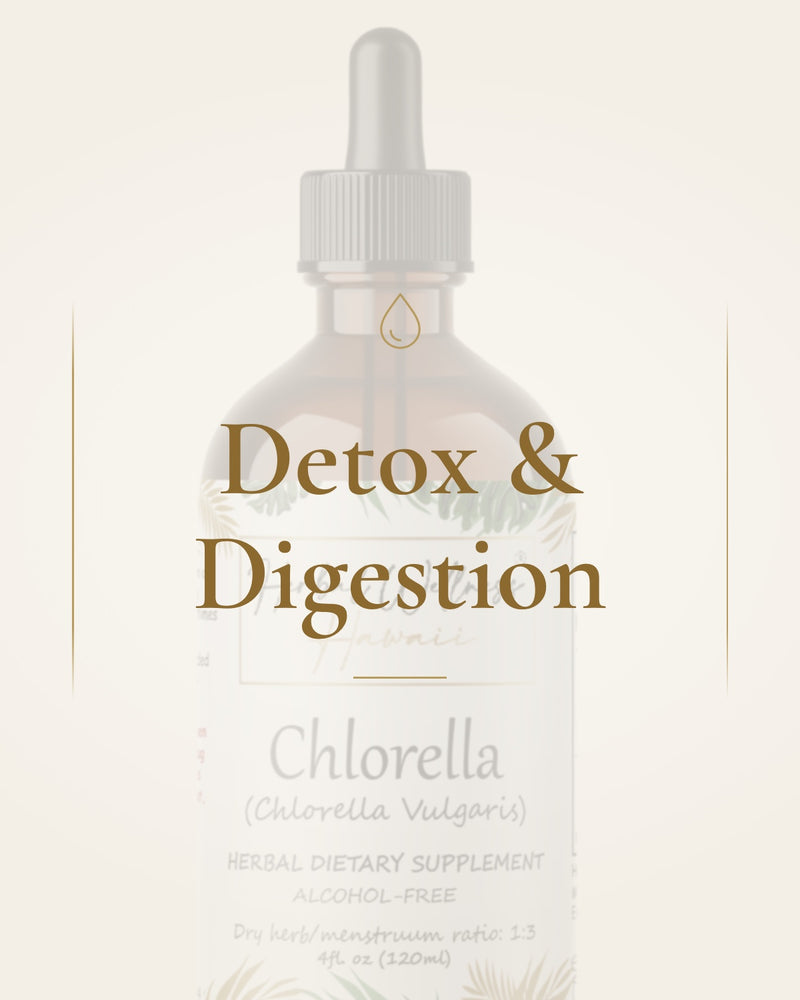 Detox & Digestion