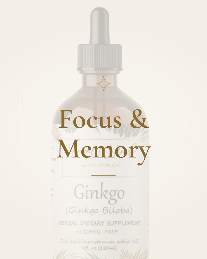 Focus & Memory