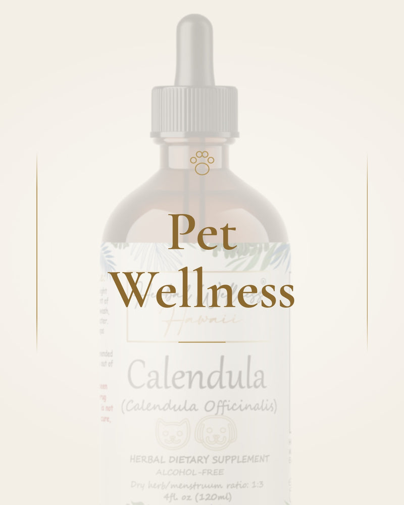 Pet Wellness