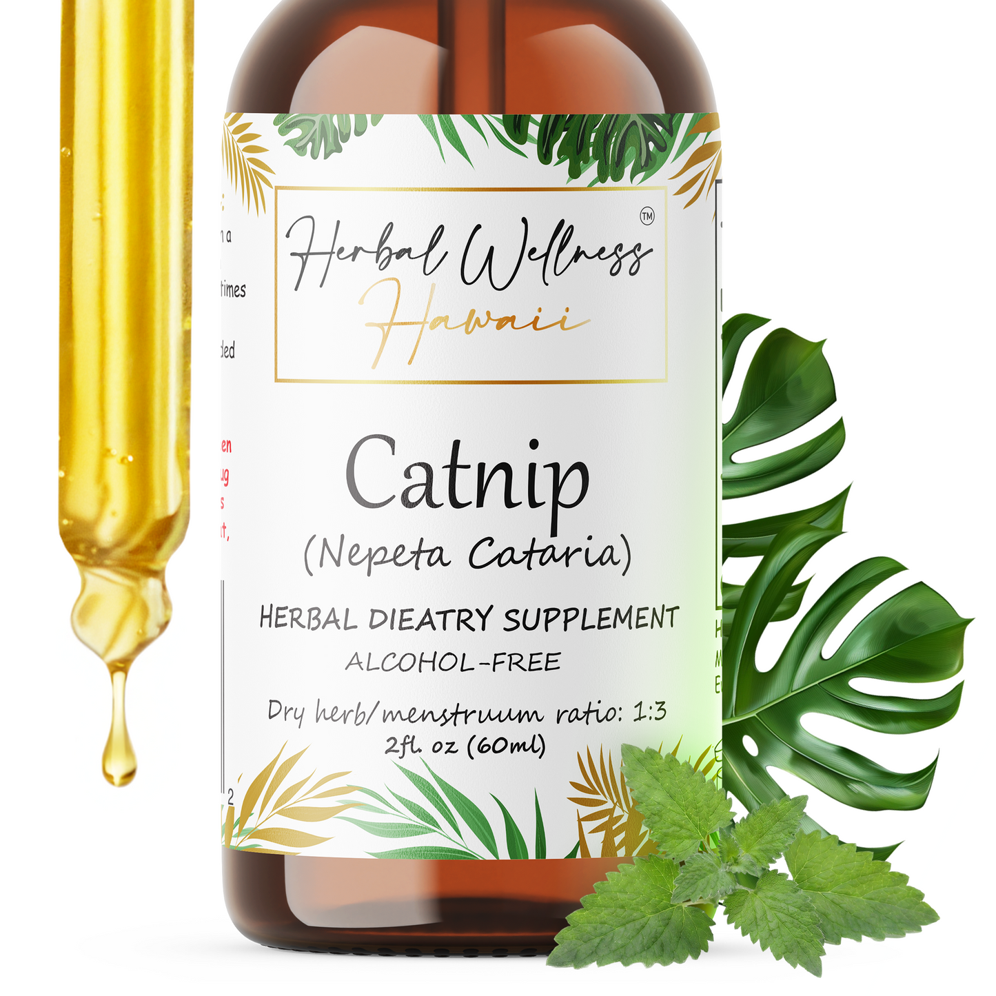 Catnip Tincture Alcohol-Free – Herbal Extract Drops for Relaxation & Gentle Calm Support