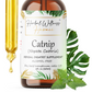 Catnip Tincture Alcohol-Free – Herbal Extract Drops for Relaxation & Gentle Calm Support