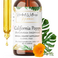 California Poppy Tincture Alcohol-Free – Herbal Extract Drops for Relaxation & Evening Calm