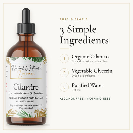 Cilantro liquid drops, 3 simple ingredients: herb, vegetable glycerin, purified water
