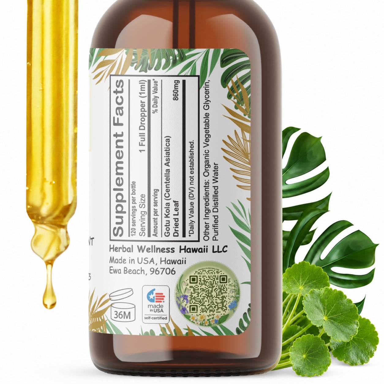 Gotu Kola Liquid Drops Alcohol-Free – Memory & Focus Support, Centella Asiatica Leaf