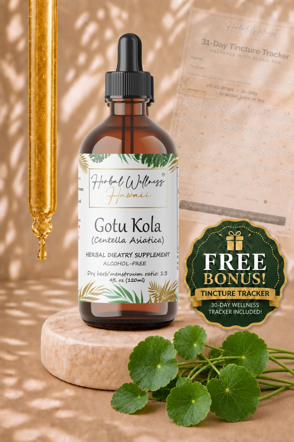 Gotu Kola Liquid Drops Alcohol-Free – Memory & Focus Support, Centella Asiatica Leaf