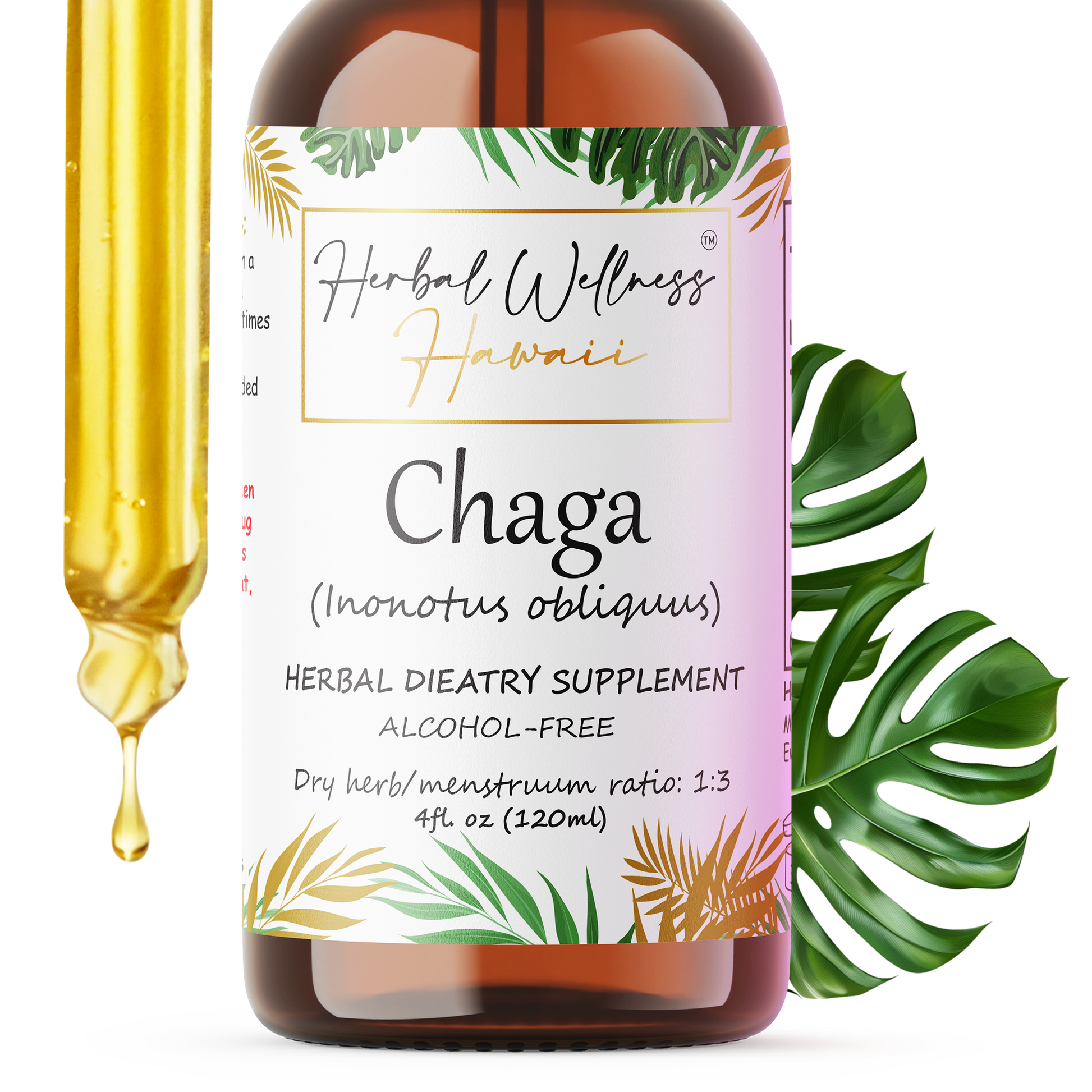 Alcohol-free Chaga mushroom tincture amber dropper bottle, Herbal Wellness Hawaii
