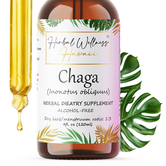 Alcohol-free Chaga mushroom tincture amber dropper bottle, Herbal Wellness Hawaii