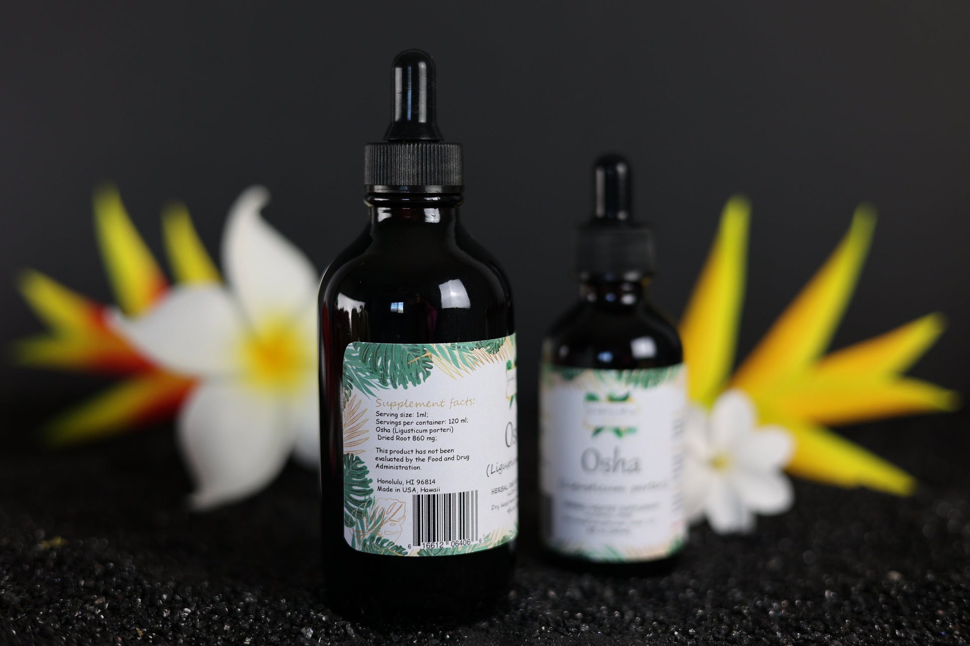 Osha Root Liquid Drops Alcohol-Free – Respiratory Support, Ligusticum Porteri