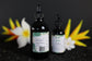 Osha Root Liquid Drops Alcohol-Free – Respiratory Support, Ligusticum Porteri