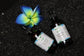 Lymphatic Support Pet Drops Alcohol-Free – Herbal Blend for Dogs & Cats, Calendula, Cleavers