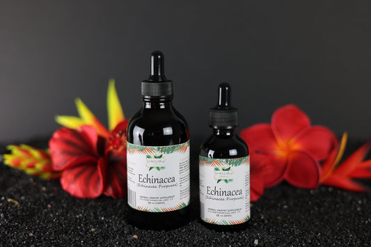 Echinacea (echinacea purpurea) alcohol-based tincture.