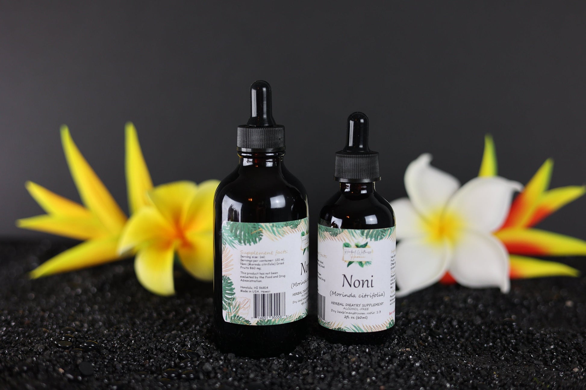 Noni Liquid Drops Alcohol-Free – Immune & Energy Support, Morinda Citrifolia Fruit