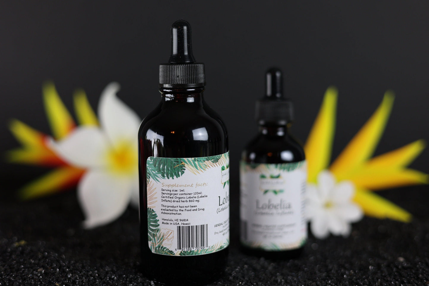Lobelia Liquid Drops Alcohol-Free – Respiratory Support, Lobelia Inflata Herb
