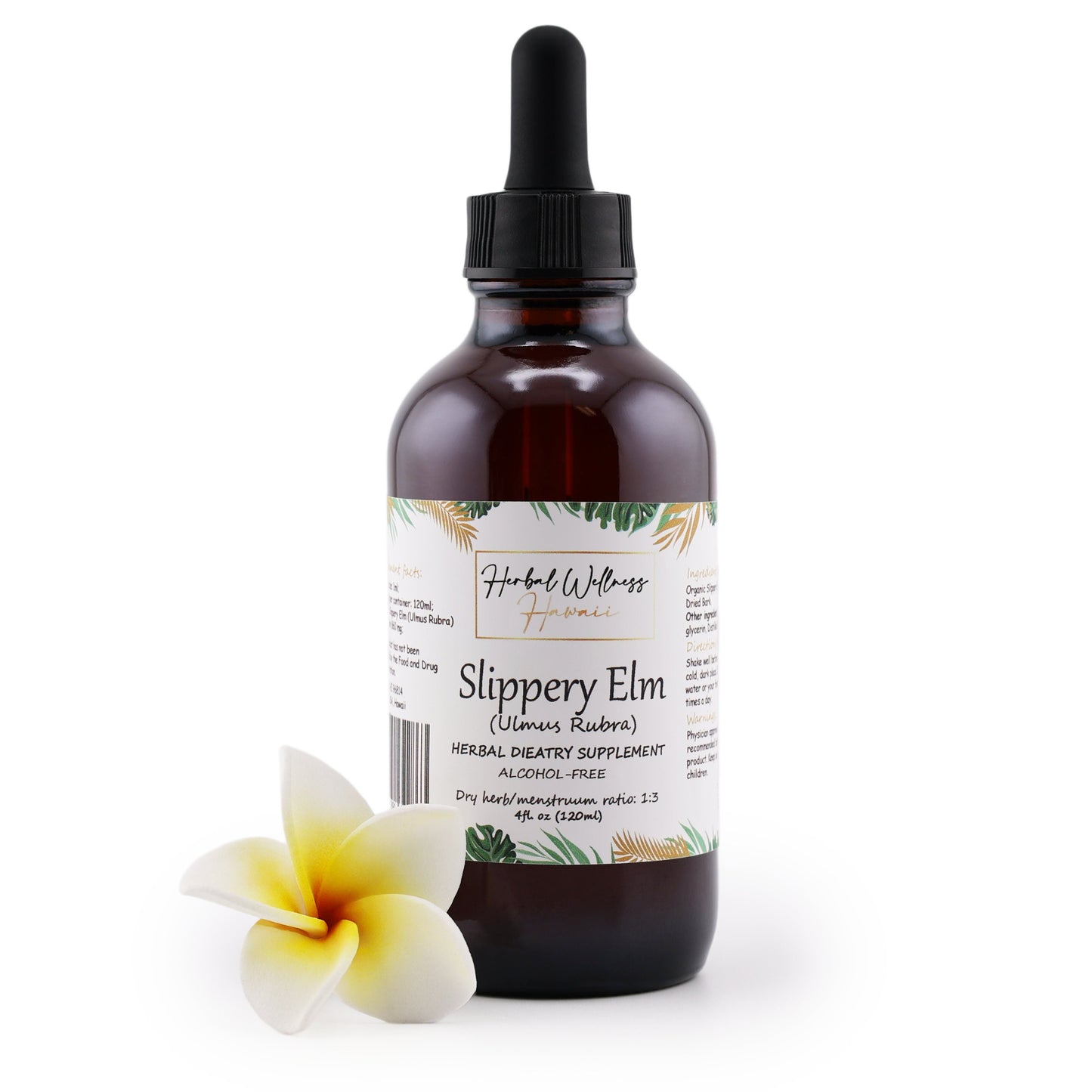 Slippery Elm Liquid Drops Alcohol-Free – Digestive & Throat Comfort, Ulmus Rubra Bark