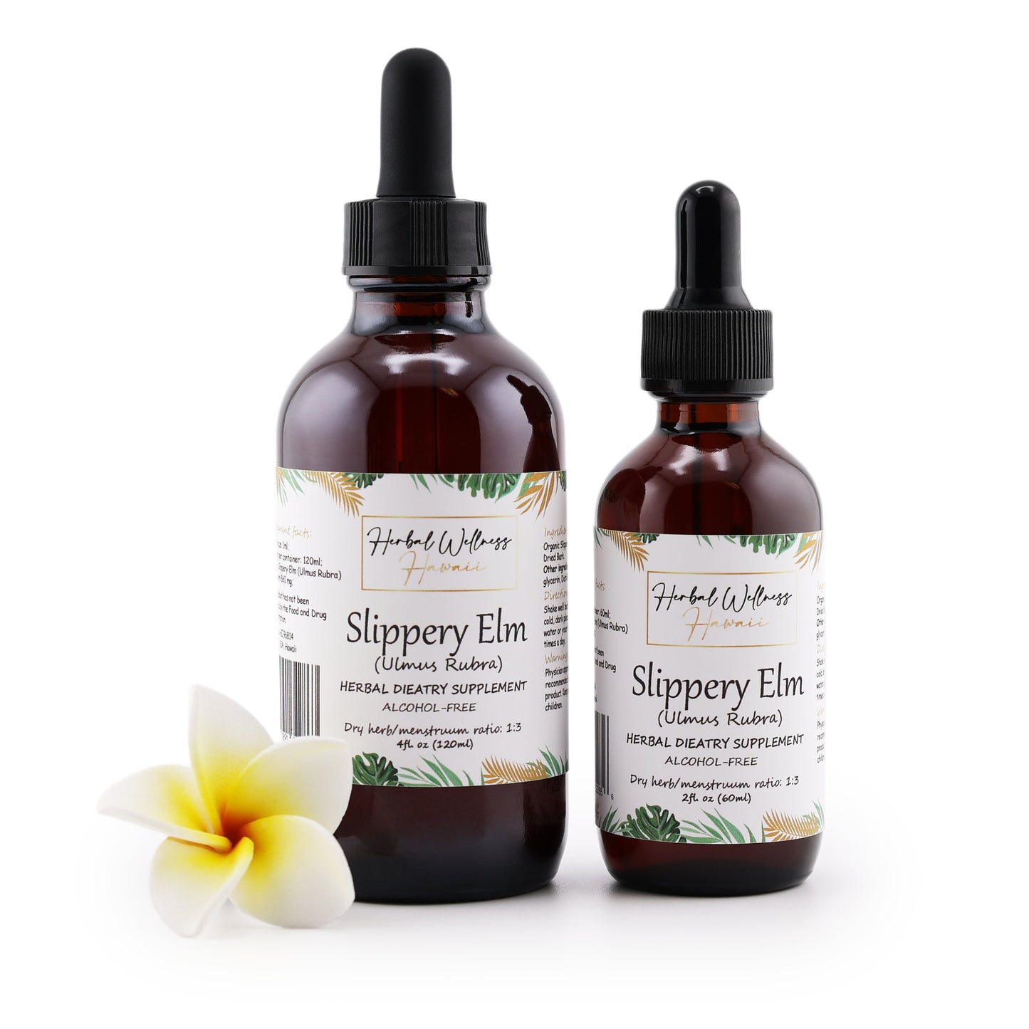 Slippery Elm Liquid Drops Alcohol-Free – Digestive & Throat Comfort, Ulmus Rubra Bark
