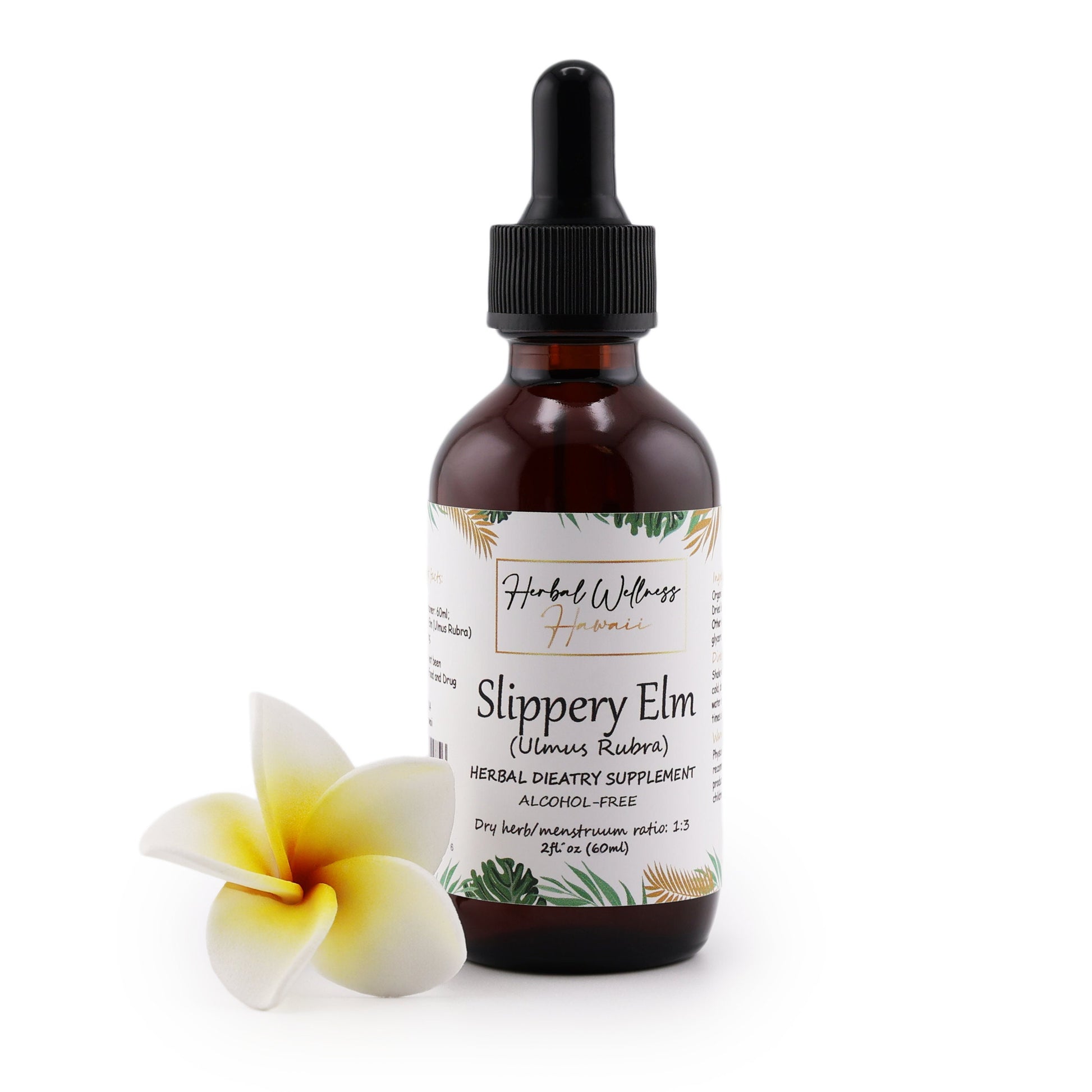Slippery Elm Liquid Drops Alcohol-Free – Digestive & Throat Comfort, Ulmus Rubra Bark