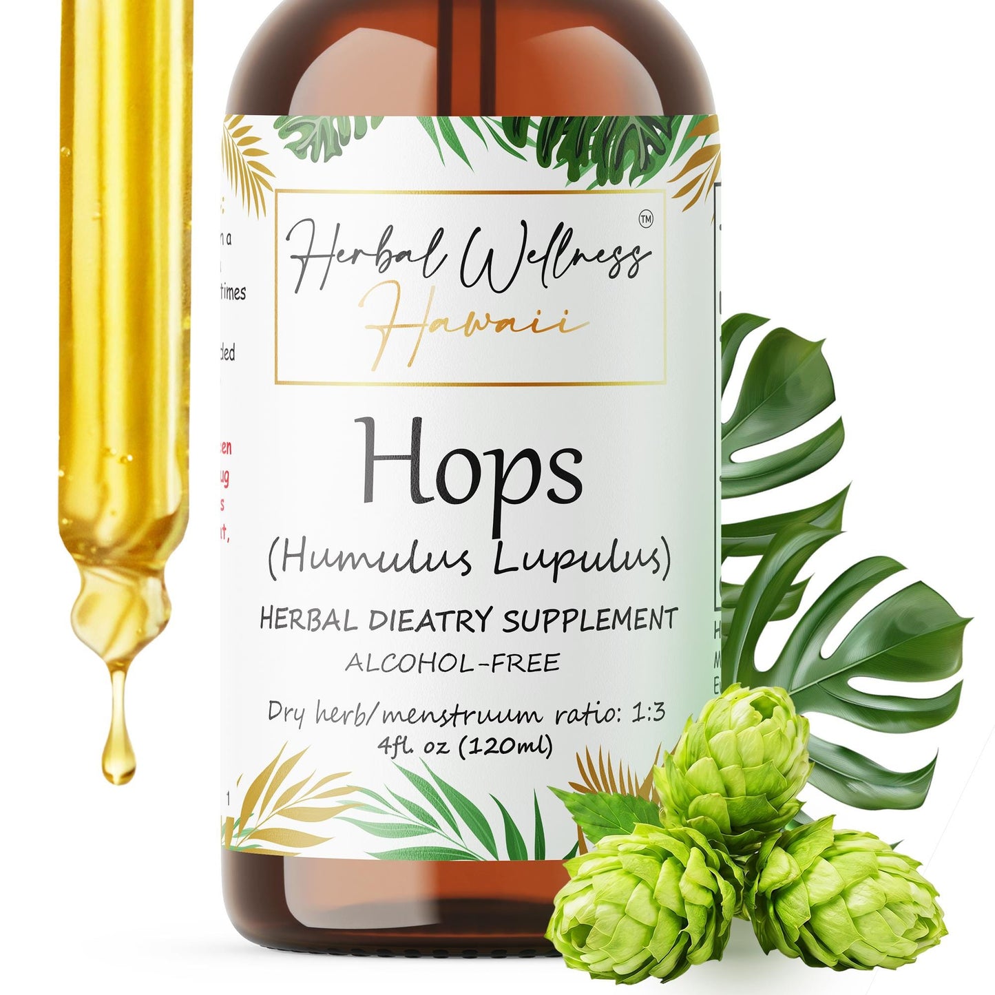 Hops Liquid Drops Alcohol-Free – Calm Evening & Sleep Support, Humulus Lupulus