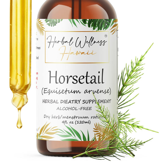 Horsetail Liquid Drops Alcohol-Free – Hair, Skin & Nail Support, Equisetum Arvense