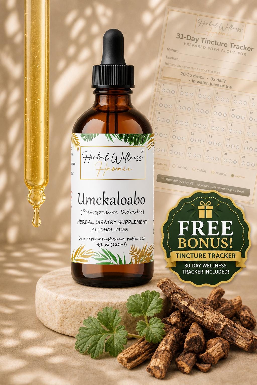Umckaloabo Tincture Alcohol-Free – Organic Pelargonium Sidoides Liquid Drops, Herbal Extract, 2 oz & 4 oz, Bulk