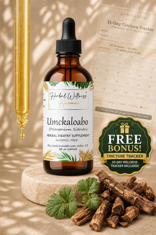Umckaloabo Tincture Alcohol-Free – Organic Pelargonium Sidoides Liquid Drops, Herbal Extract, 2 oz & 4 oz, Bulk