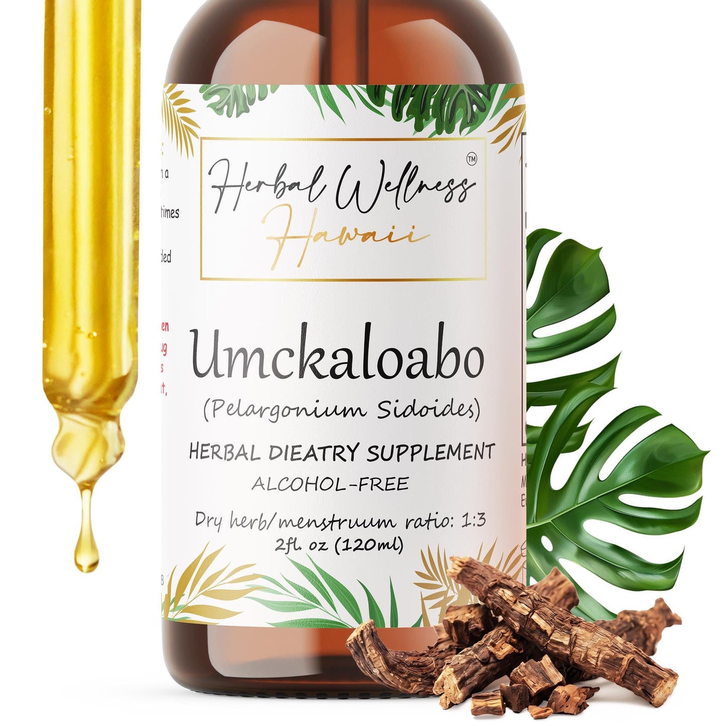 Umckaloabo Tincture Alcohol-Free – Organic Pelargonium Sidoides Liquid Drops, Herbal Extract, 2 oz & 4 oz, Bulk