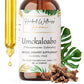 Umckaloabo Tincture Alcohol-Free – Organic Pelargonium Sidoides Liquid Drops, Herbal Extract, 2 oz & 4 oz, Bulk