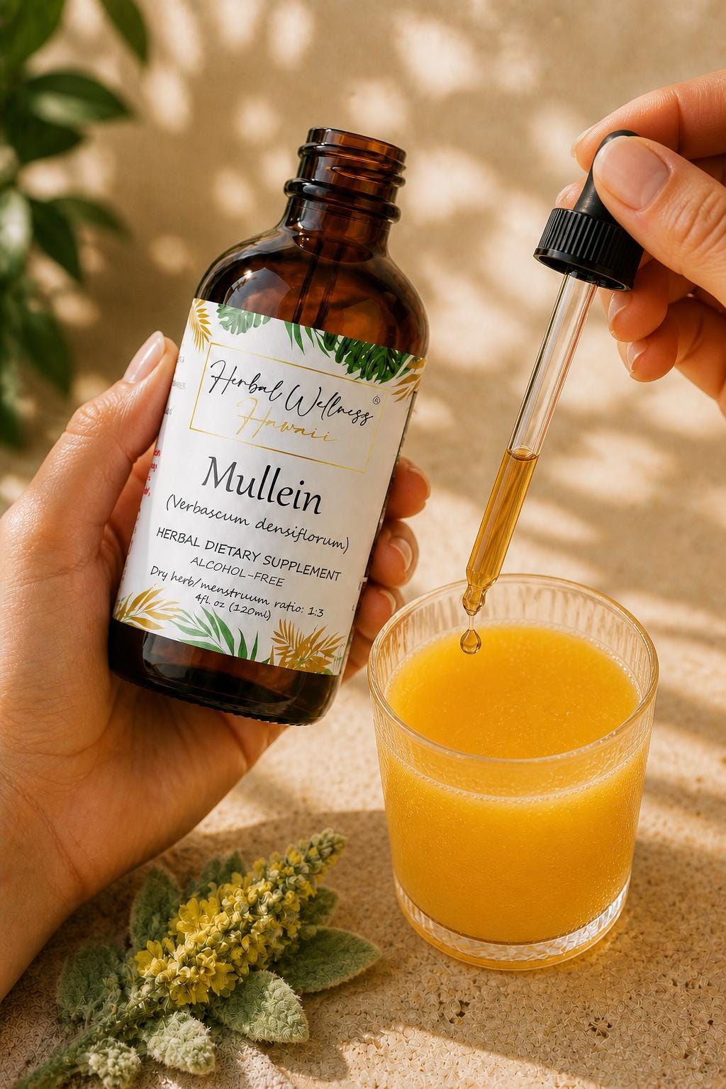 Mullein Tincture Alcohol-Free, Organic Verbascum Densiflorum Flower Liquid Drops, Herbal Extract