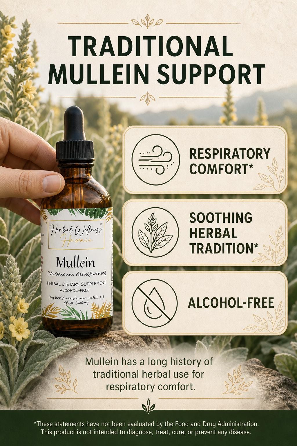 Mullein Tincture Alcohol-Free, Organic Verbascum Densiflorum Flower Liquid Drops, Herbal Extract