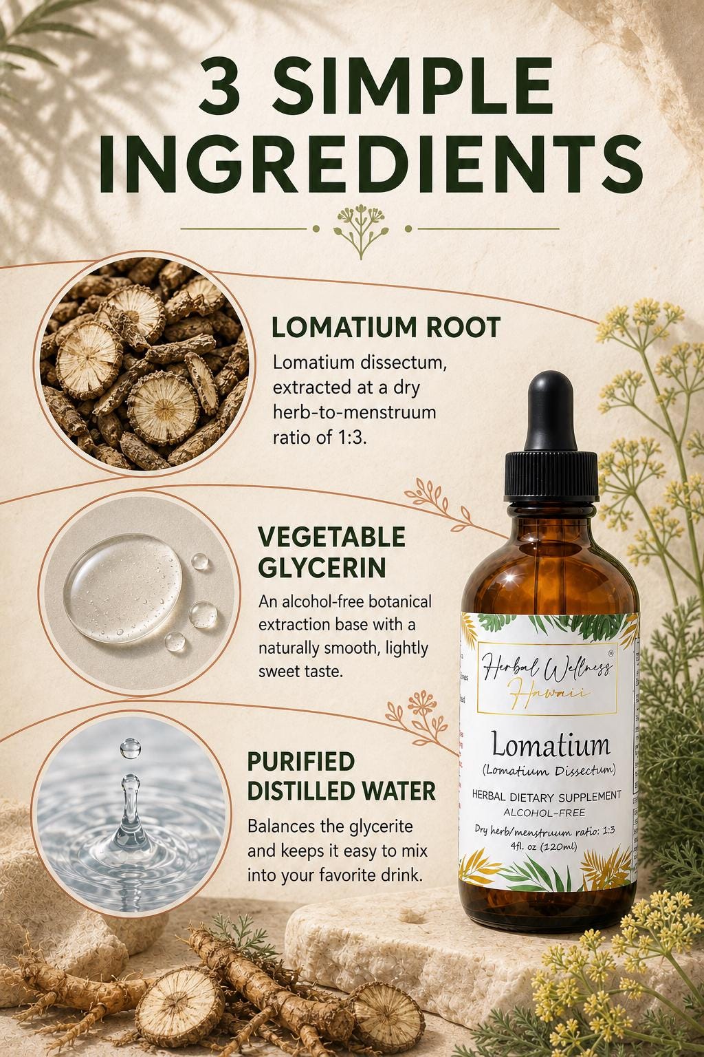 Lomatium Tincture Alcohol-Free, Organic Lomatium Dissectum Liquid Drops, Herbal Extract
