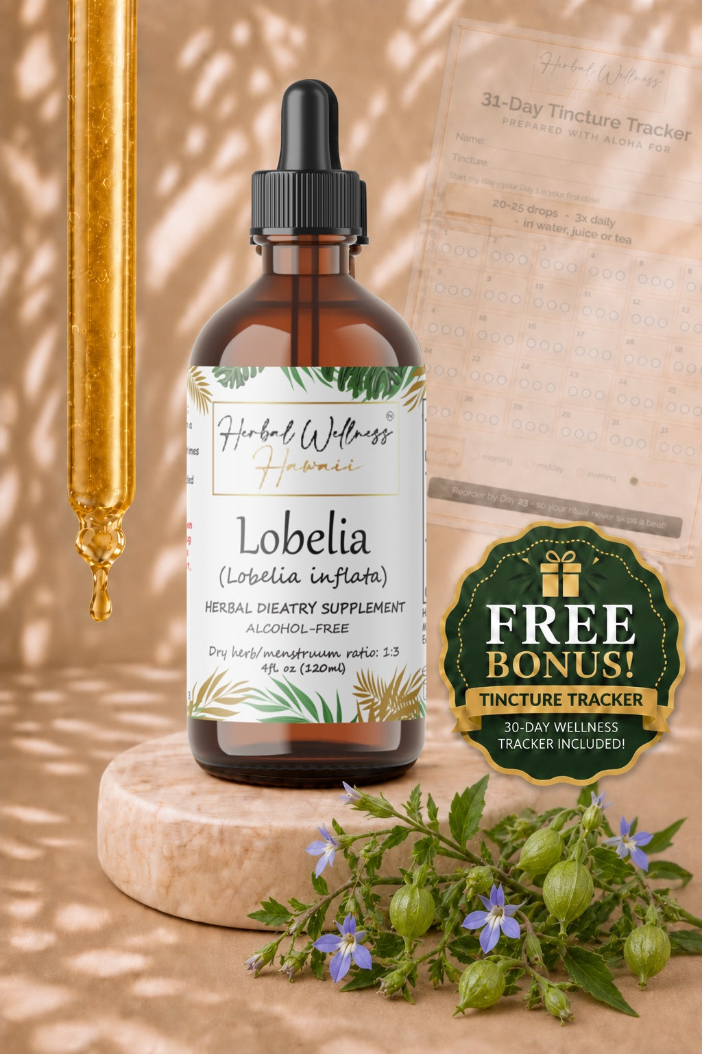 Lobelia Liquid Drops Alcohol-Free – Respiratory Support, Lobelia Inflata Herb