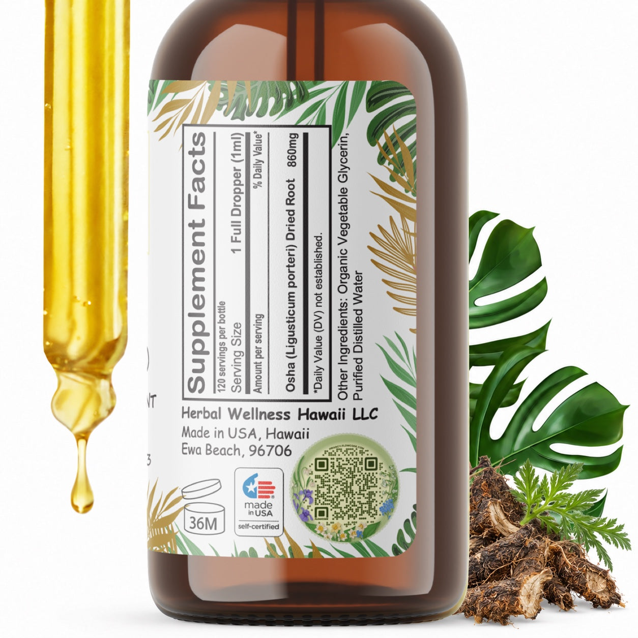 Osha Root Liquid Drops Alcohol-Free – Respiratory Support, Ligusticum Porteri