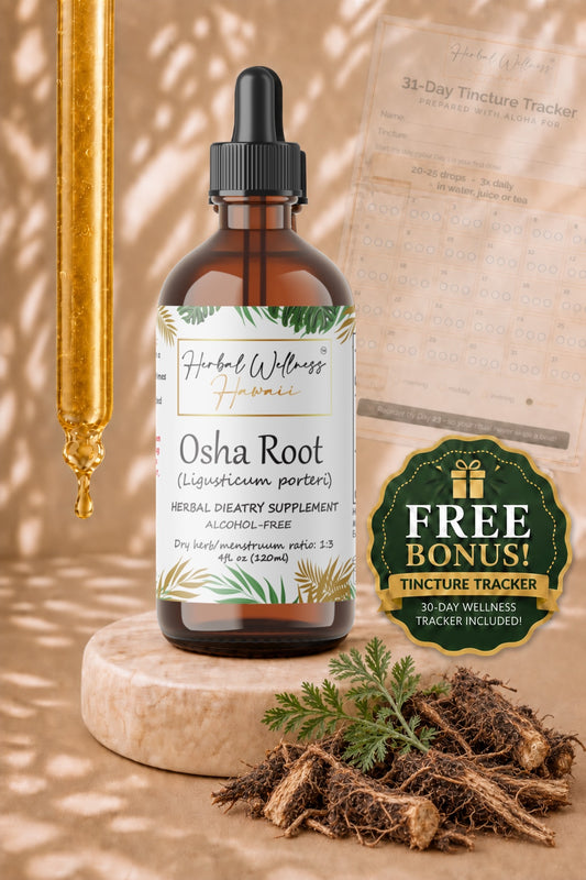 Osha Root Liquid Drops Alcohol-Free – Respiratory Support, Ligusticum Porteri