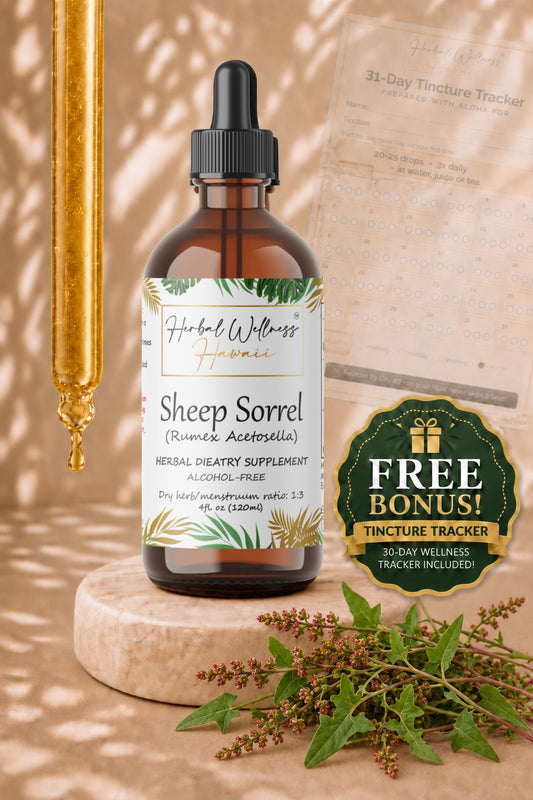 Sheep Sorrel Liquid Drops Alcohol-Free – Natural Cleanse Support, Organic Rumex Acetosella