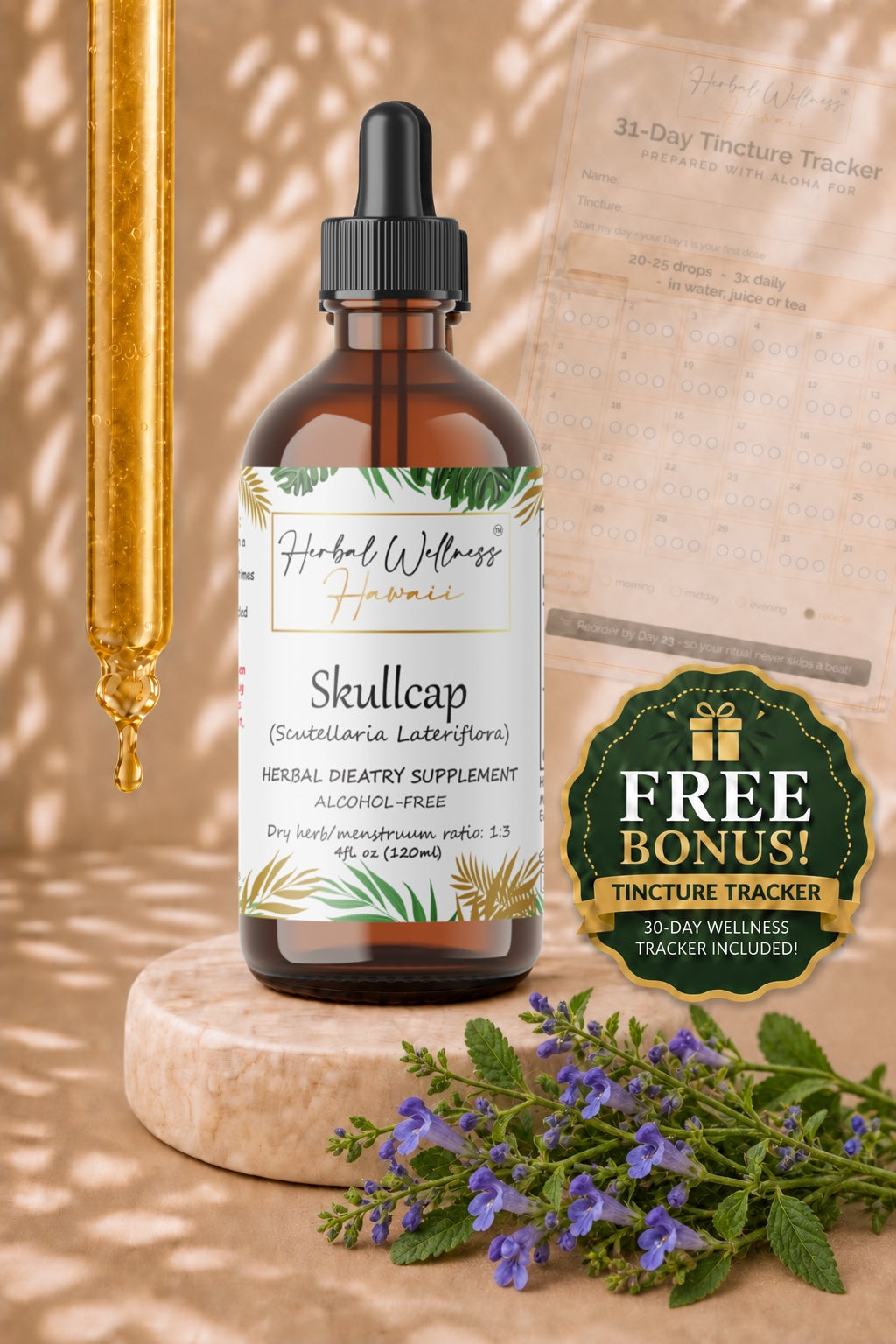 Skullcap Liquid Drops Alcohol-Free – Calm & Relaxation Support, Scutellaria Lateriflora Herb