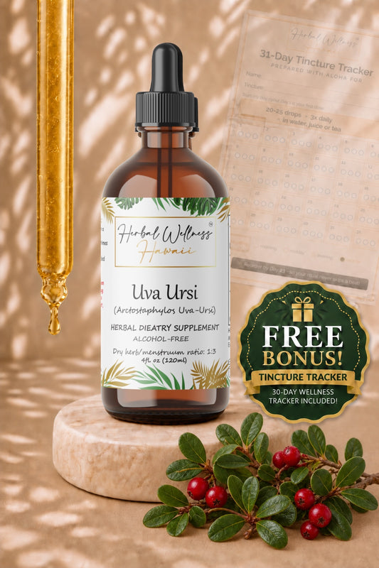 Uva Ursi Liquid Drops Alcohol-Free – Urinary Tract Support, Bearberry Leaf