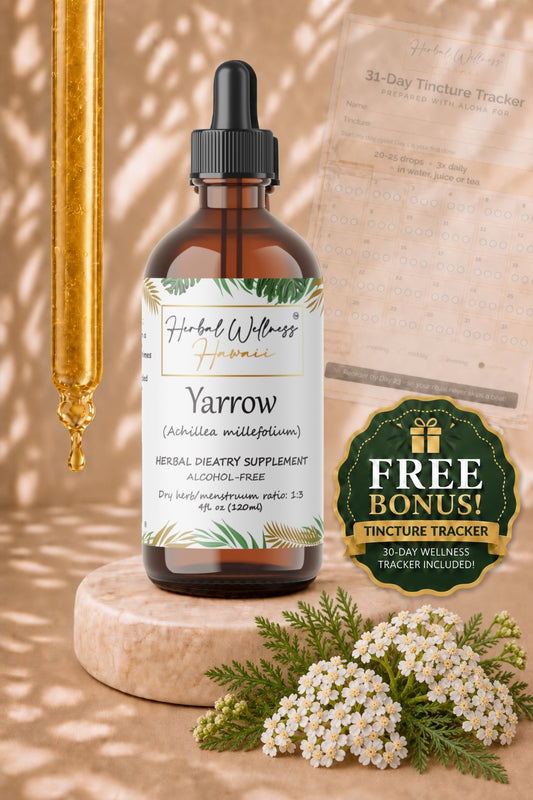 Yarrow Liquid Drops Alcohol-Free – Digestive & Seasonal Support, Achillea Millefolium Flower