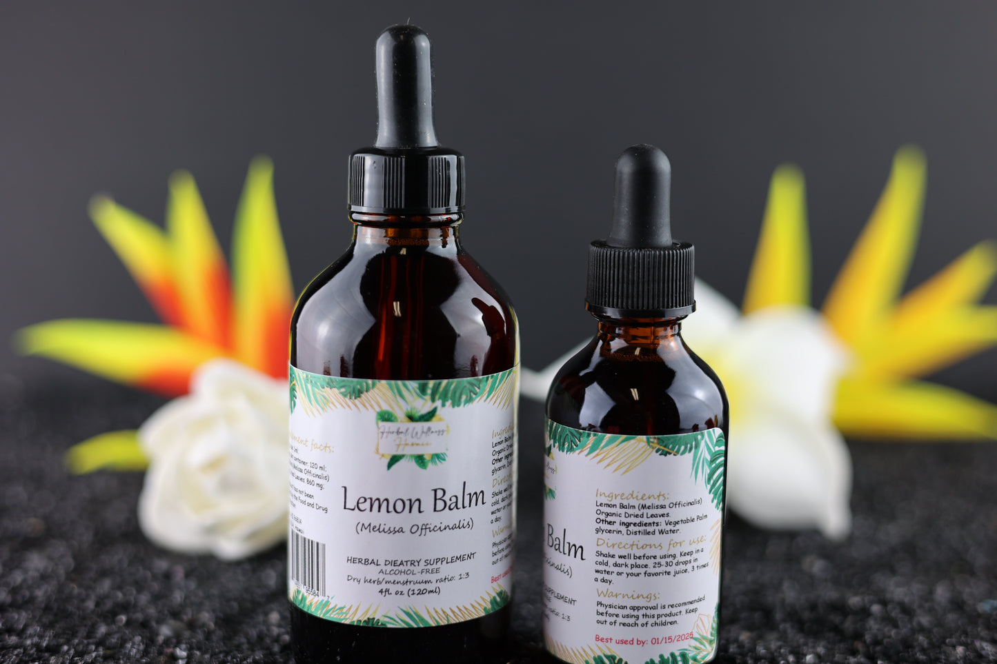 Lemon Balm (Melissa officinalis) Alcohol-Free Herbal Tincture