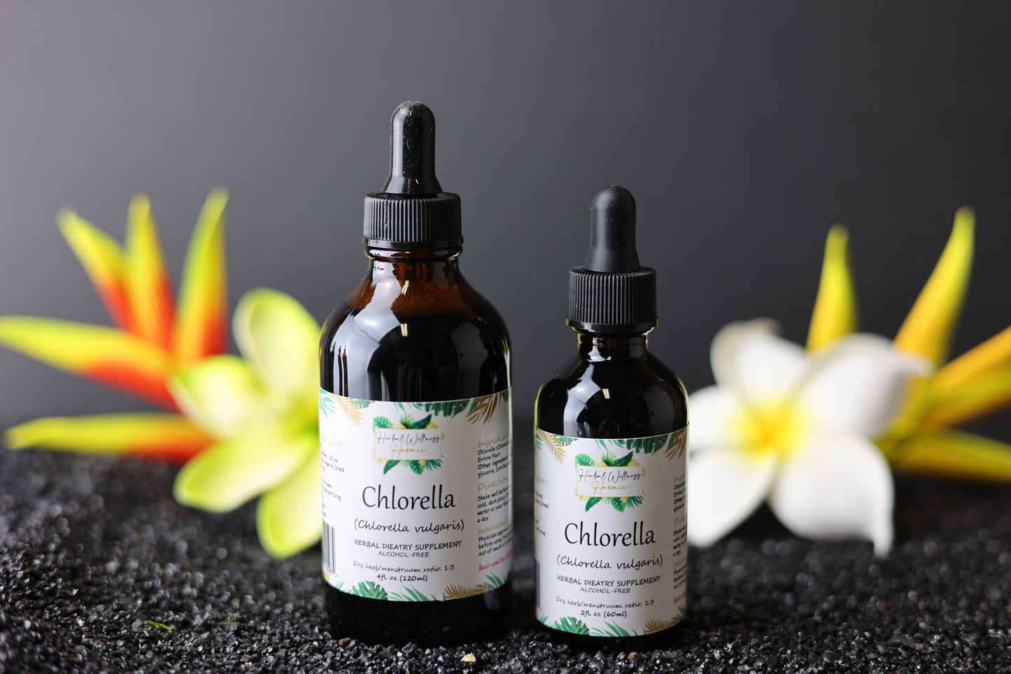 Chlorella (Chlorella vulgaris) Dried Entire Plant Alcohol-Free Tincture