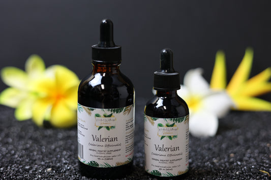 Valerian (Valeriana Officinalis) Dried Root Alcohol-Free Tincture