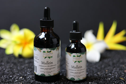 Organic Mullein (Verbascum Thapsus) Dried Flower Alcohol-Free Tincture