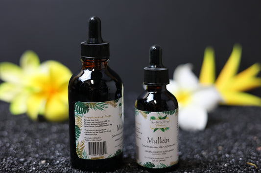 Organic Mullein (Verbascum Thapsus) Dried Flower Alcohol-Free Tincture